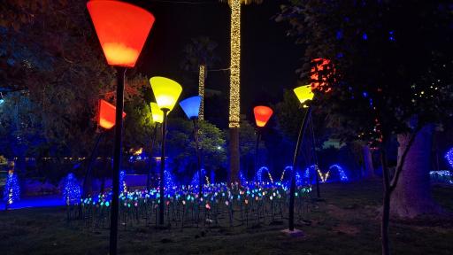 عکس بوستان آزادی