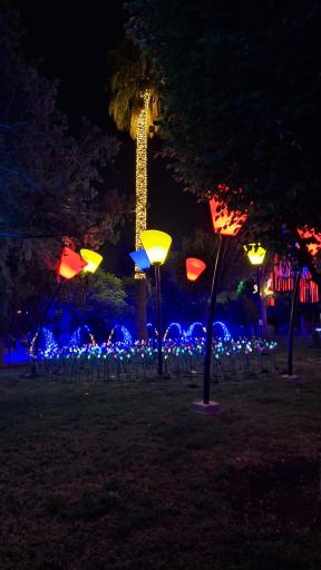 عکس بوستان آزادی