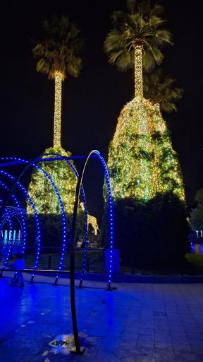 عکس بوستان آزادی