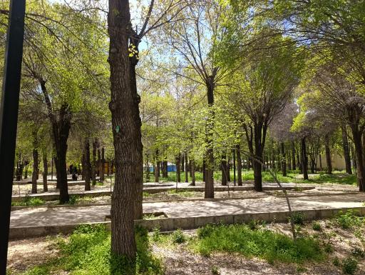 عکس بوستان آزادی