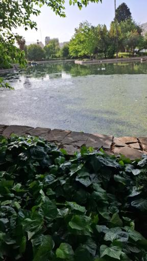 عکس بوستان آزادی