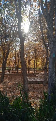 عکس بوستان آزادی