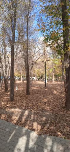 عکس بوستان آزادی