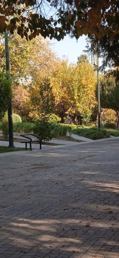 عکس بوستان آزادی