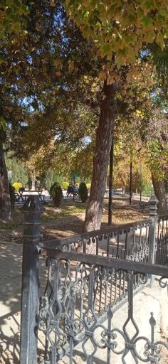 عکس بوستان آزادی