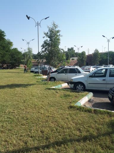 عکس پارک برکه