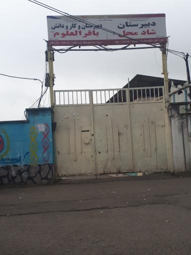 عکس دبیرستان و کاردانش  باقرالعلوم شادمحل