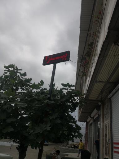 عکس ساندویچی ستایش