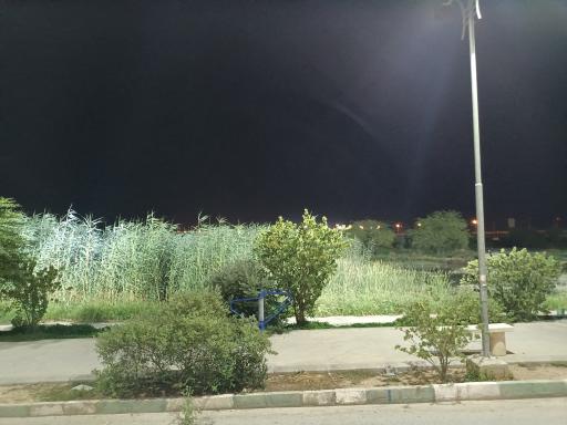 عکس پارک برکه