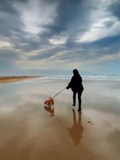 عکس ساحل پرهام