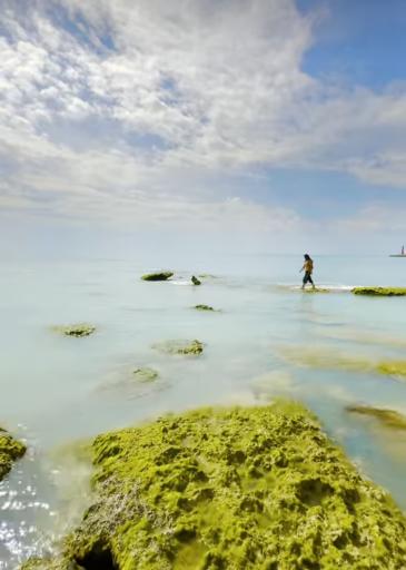 عکس ساحل پرهام