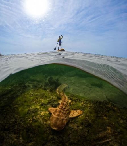 عکس ساحل پرهام