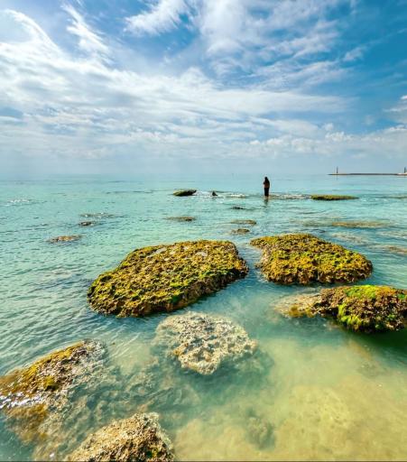 عکس ساحل پرهام