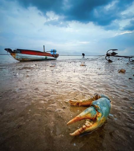 عکس ساحل پرهام