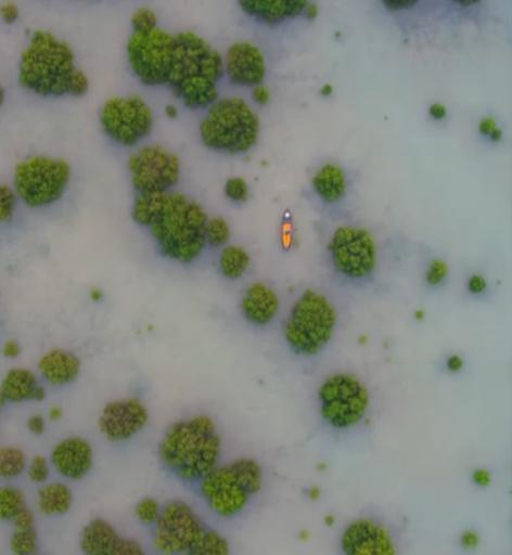 عکس ساحل پرهام