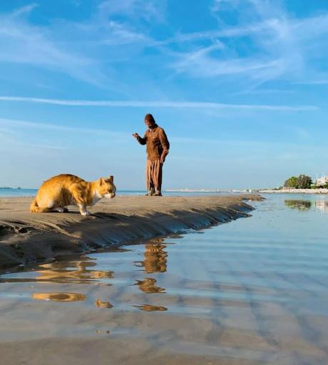 عکس ساحل پرهام