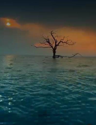 عکس ساحل پرهام