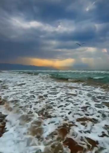 عکس ساحل پرهام