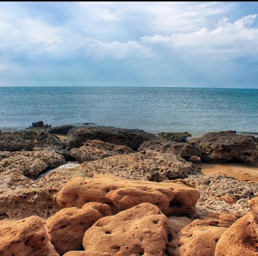 عکس ساحل پرهام