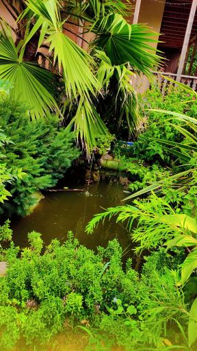 عکس اقامتگاه بومگردی گیلک ده