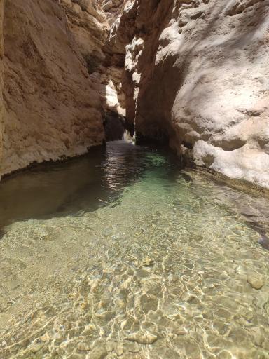 عکس کاسه رود رستاق