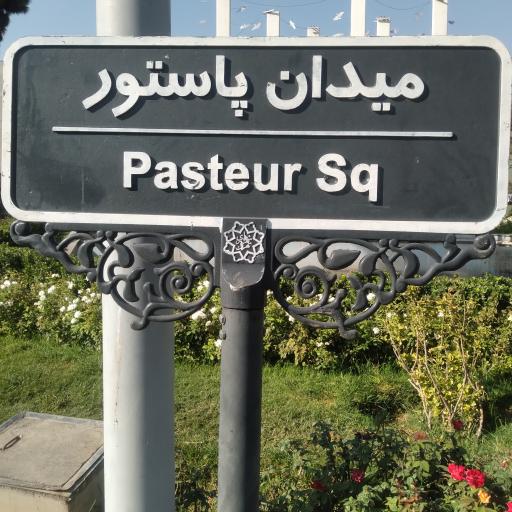 عکس میدان پاستور