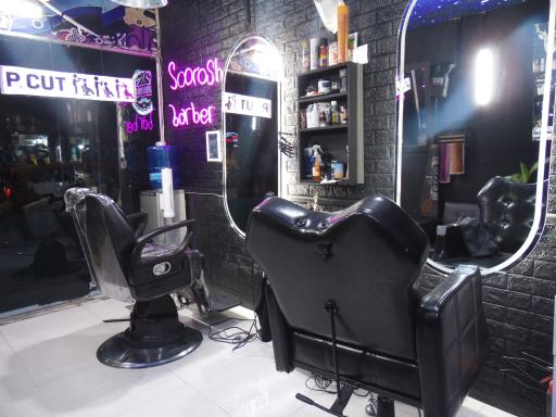 عکس پیرایش سروش