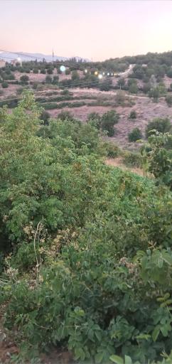 عکس دوچرخه هوایی