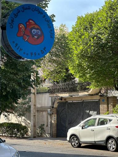 عکس استخر کودک نمو