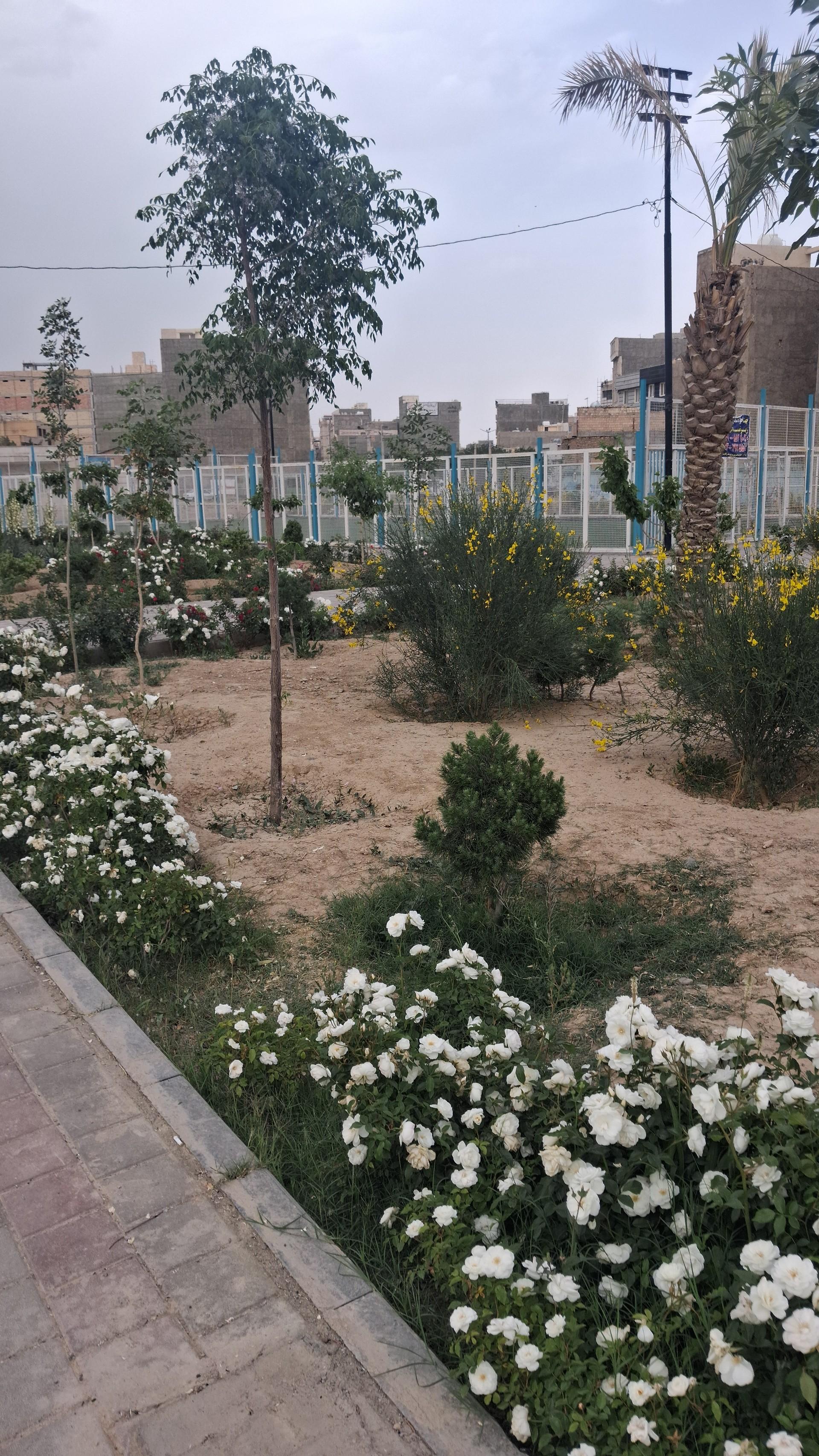 عکس زمین فوتبال شهید علی وطنی