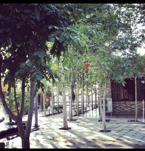 عکس رستوران شاهین