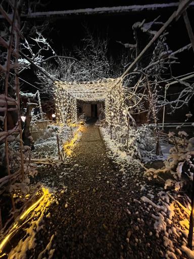 عکس کافه کنزو