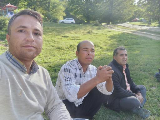 عکس پارک جنگلی کمرلی