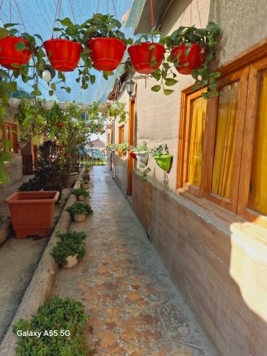 عکس مجتمع پذیرائی نوش