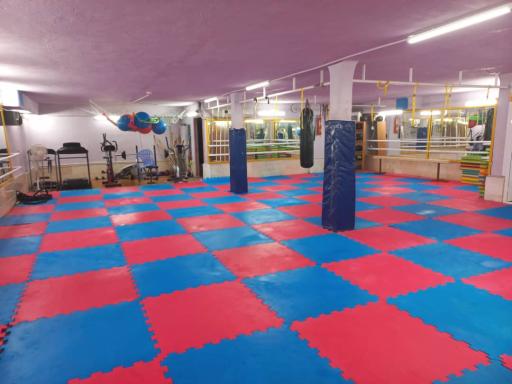 عکس باشگاه فرهنگی ورزشی ایثار