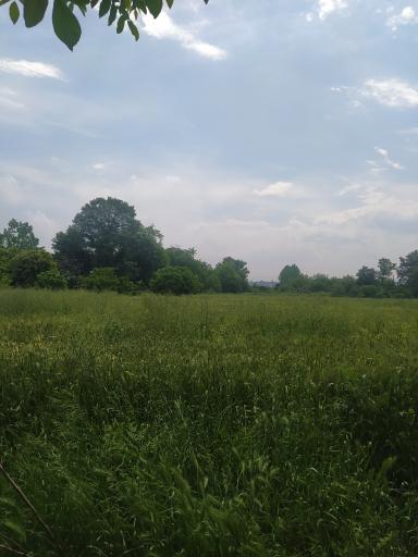 عکس تپه باستانی گرد کوه