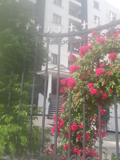 عکس برج نسیم کمالی