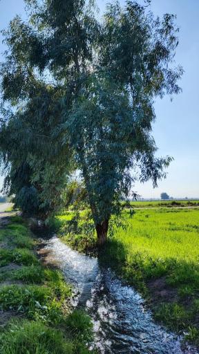 عکس سیدان
