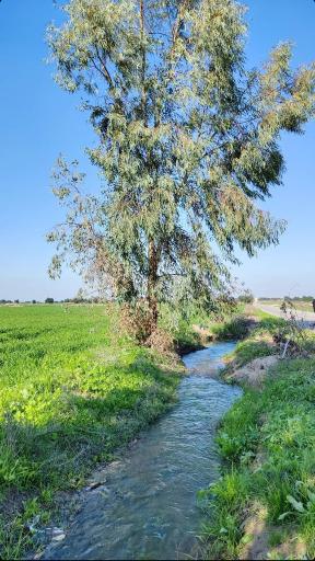 عکس سیدان