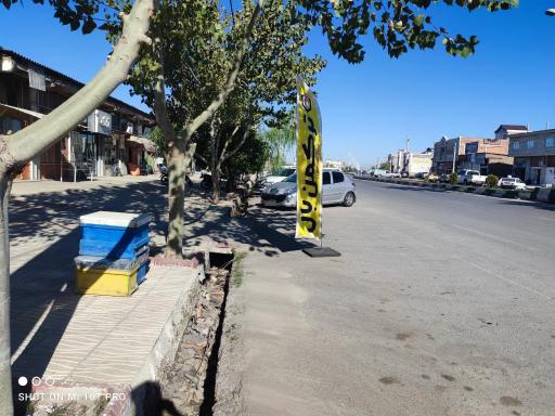 عکس ترکمن بال (محصولات طبیعی زنبور عسل )