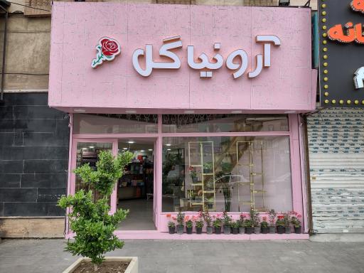 عکس گلفروشی آرونیا 