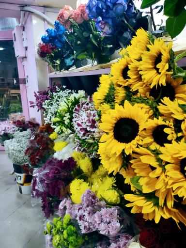 عکس گلفروشی آرونیا 