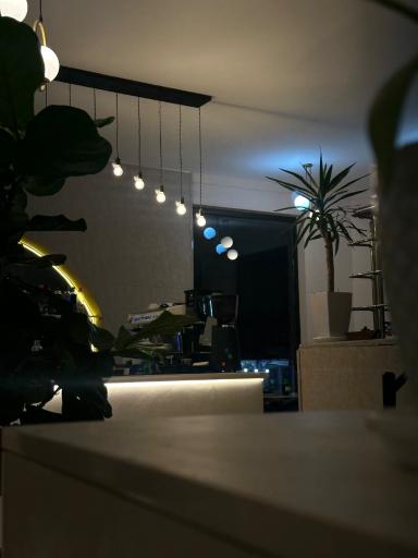 عکس کافه لومی