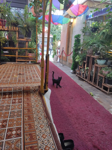 عکس دیزی سرای کوهسنگی