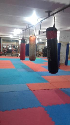 عکس باشگاه کوروش