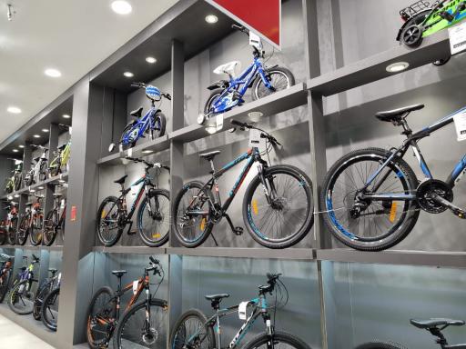 عکس فروشگاه آقای دوچرخه