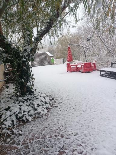 عکس کافی شاپ رنگین کمان VIP