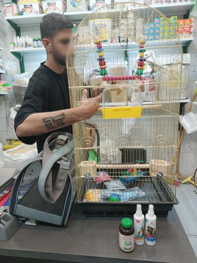 عکس ملزومات پرندگان فالکُن سیاه