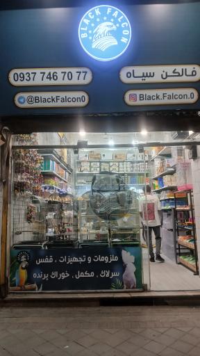 ملزومات پرندگان فالکُن سیاه