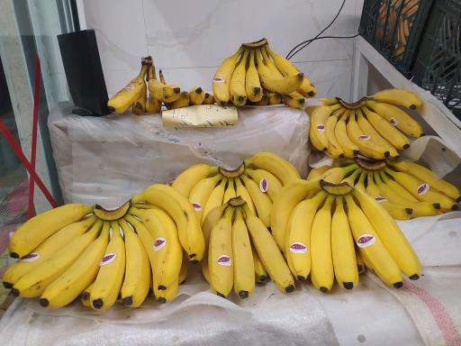 عکس میوه ایزانلو